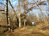 A photojournalism member observing the botany